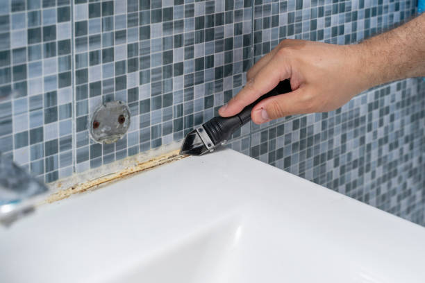 Best Affordable Mold Removal  in Bayview, CA