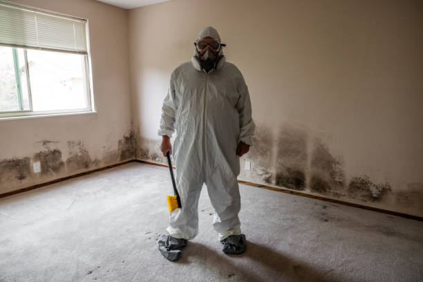 Best Attic Mold Removal  in Bayview, CA